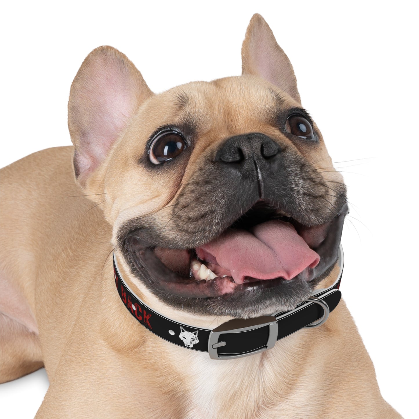 Pack Dog Collar