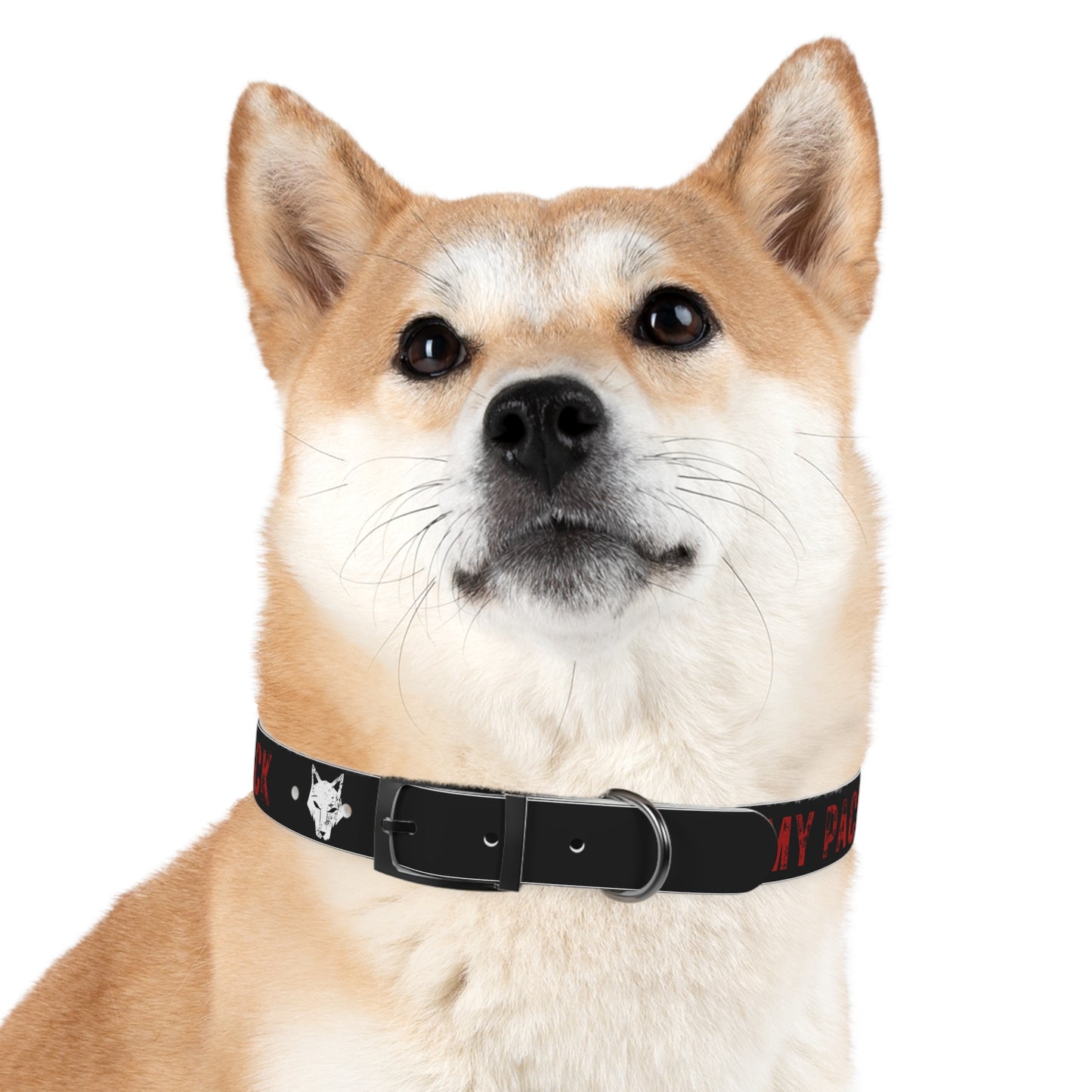 Pack Dog Collar