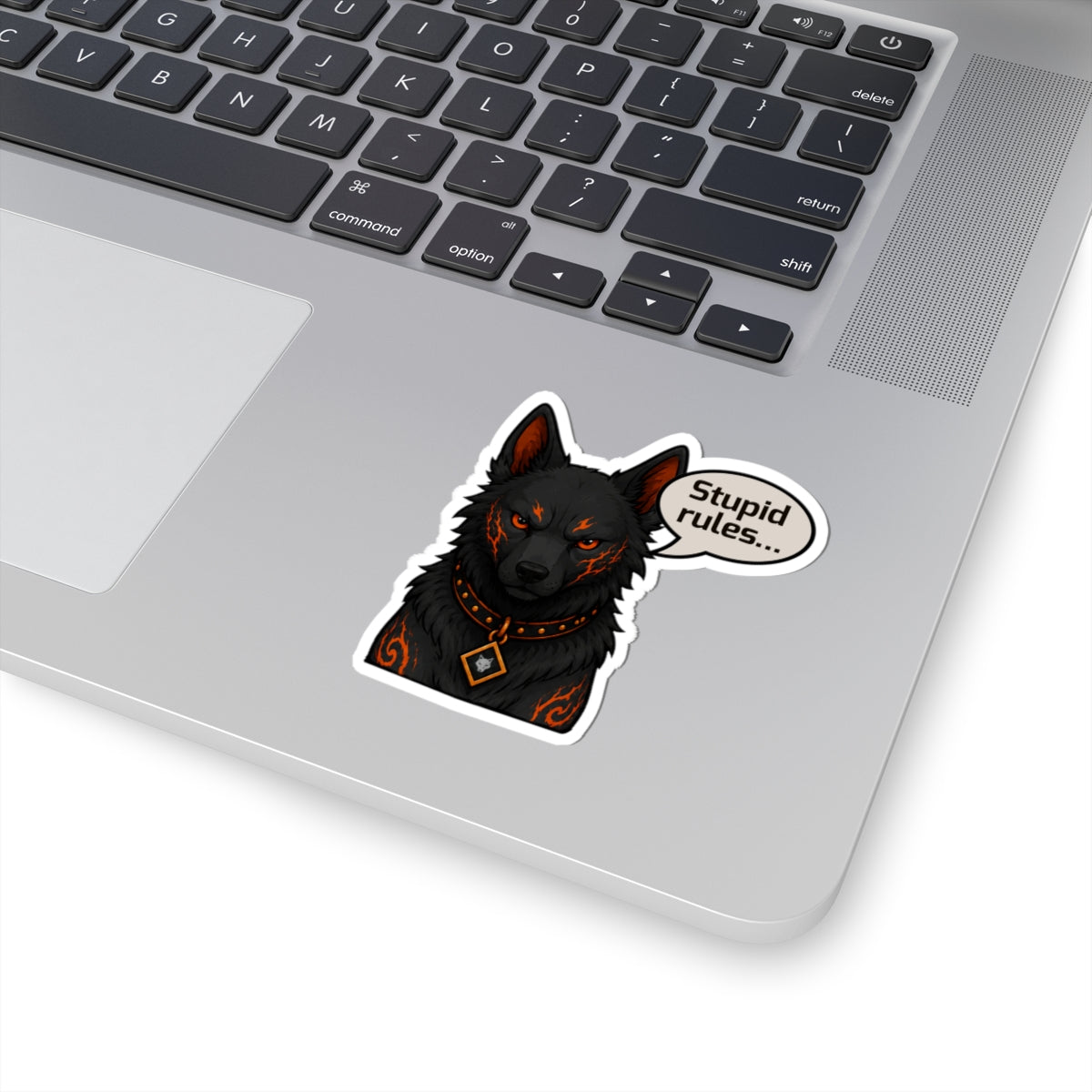 Odin "Stupid Rules" Sticker 3"